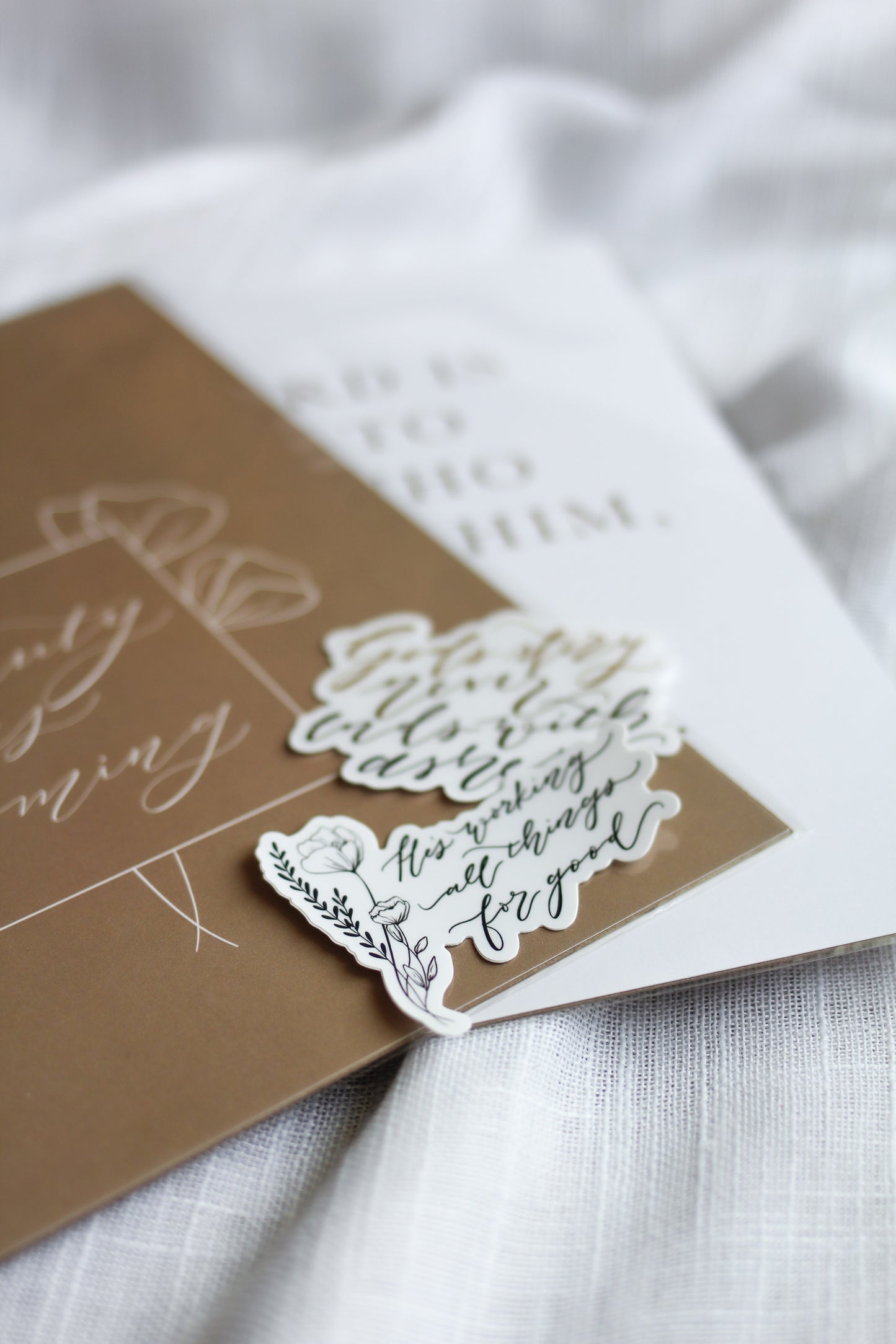 "beauty is coming" | gift bundle