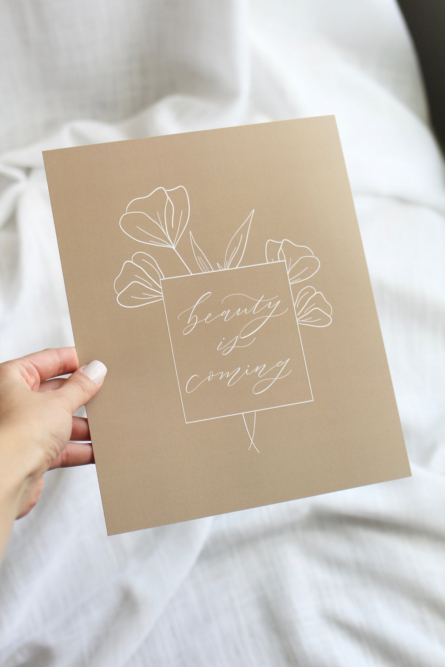 Variety pack  |  7 prints