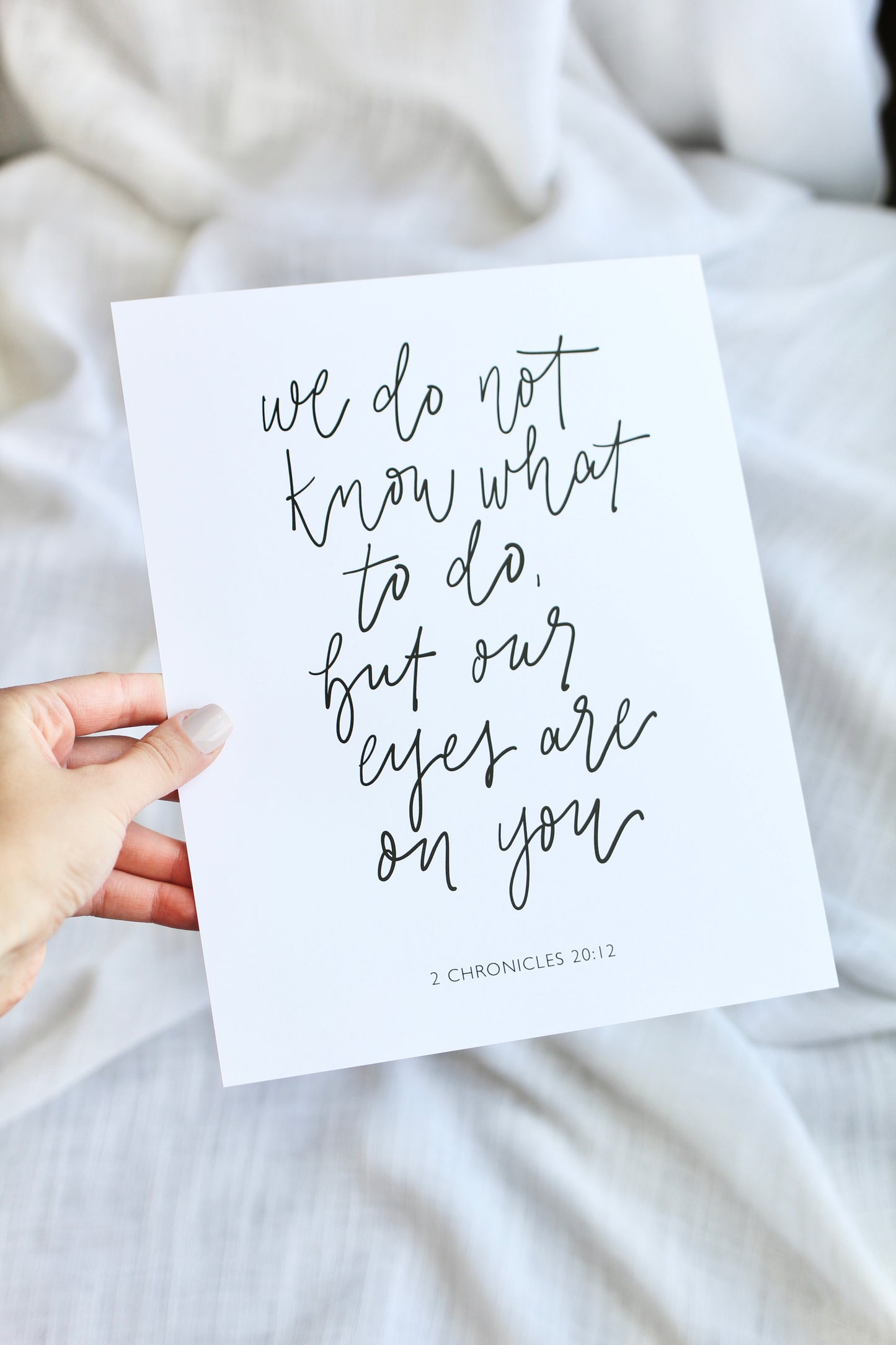 Variety pack  |  7 prints