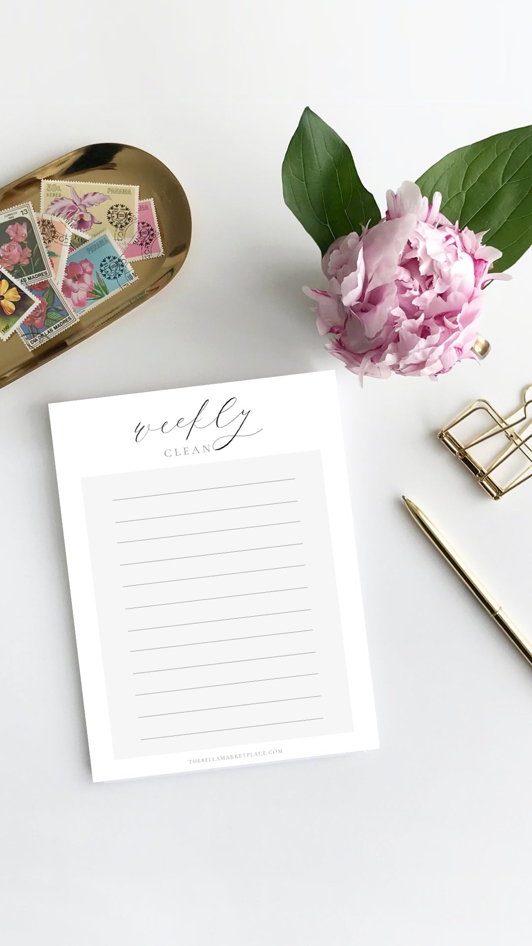 Weekly Cleaning List (lined) | digital download