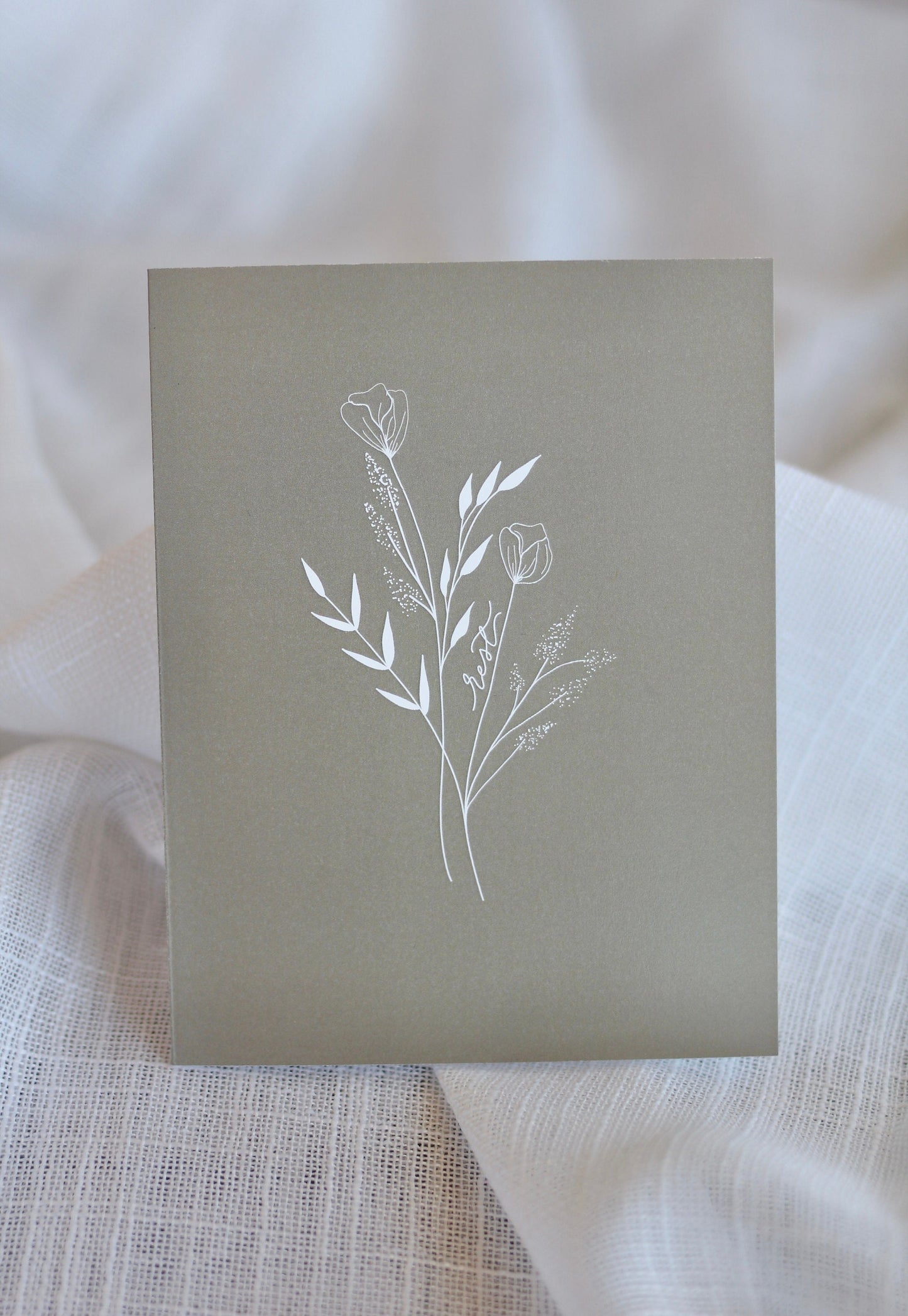 scripture greeting cards | variety pack