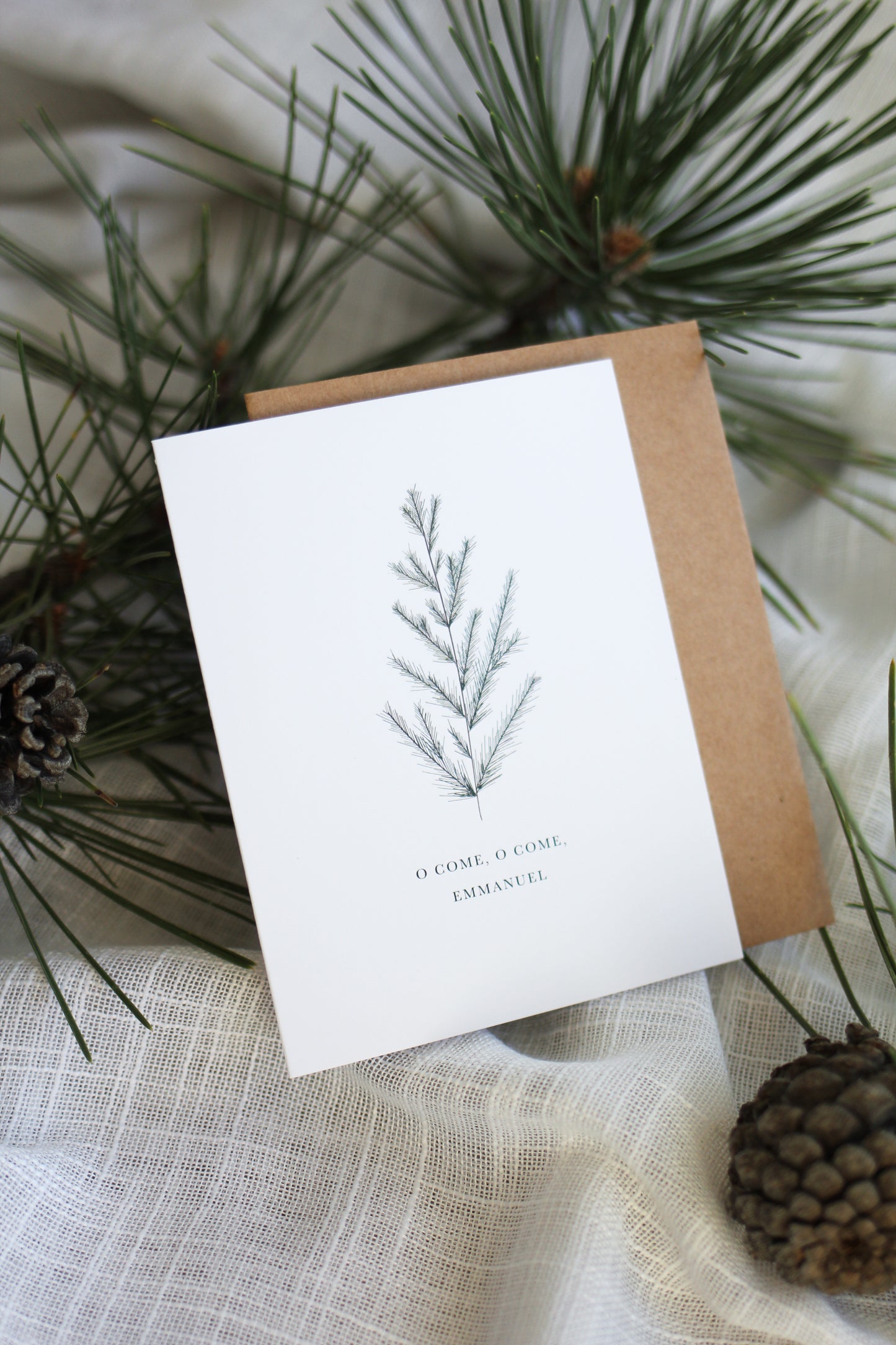 "o come, o come, Emmanuel" | pine Christmas cards